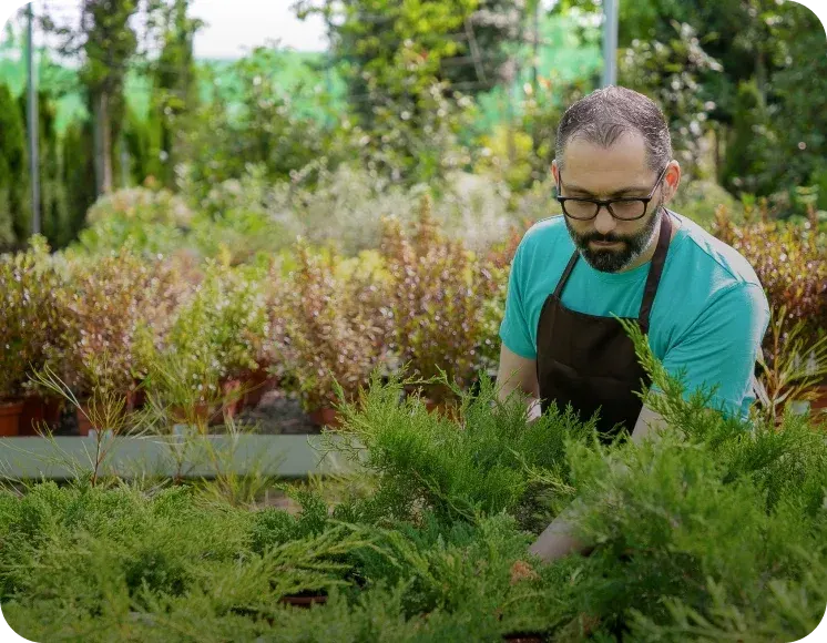 Landscaping crew maintaining a commercial property